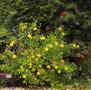 Meet your Posher, Florence